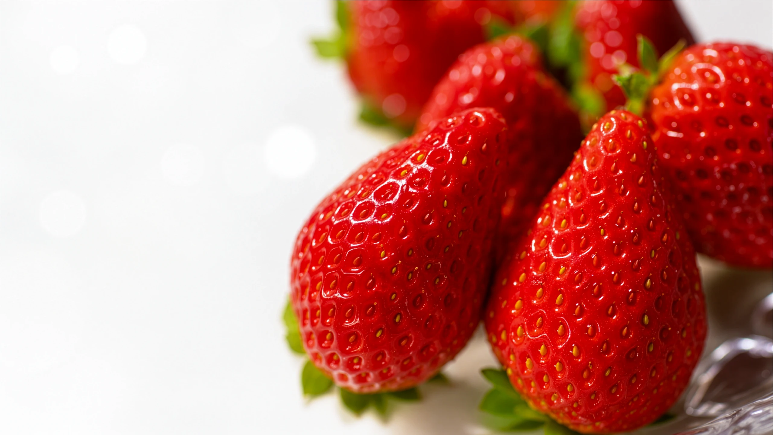 艶やかに実るKiratto Berry
